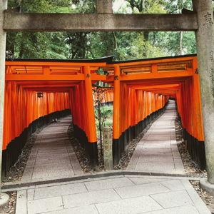 Kyoto: Full-Day UNESCO and Historical Sites Bus Tour