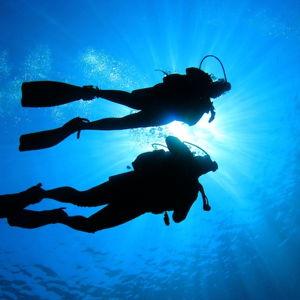 Diving Fund