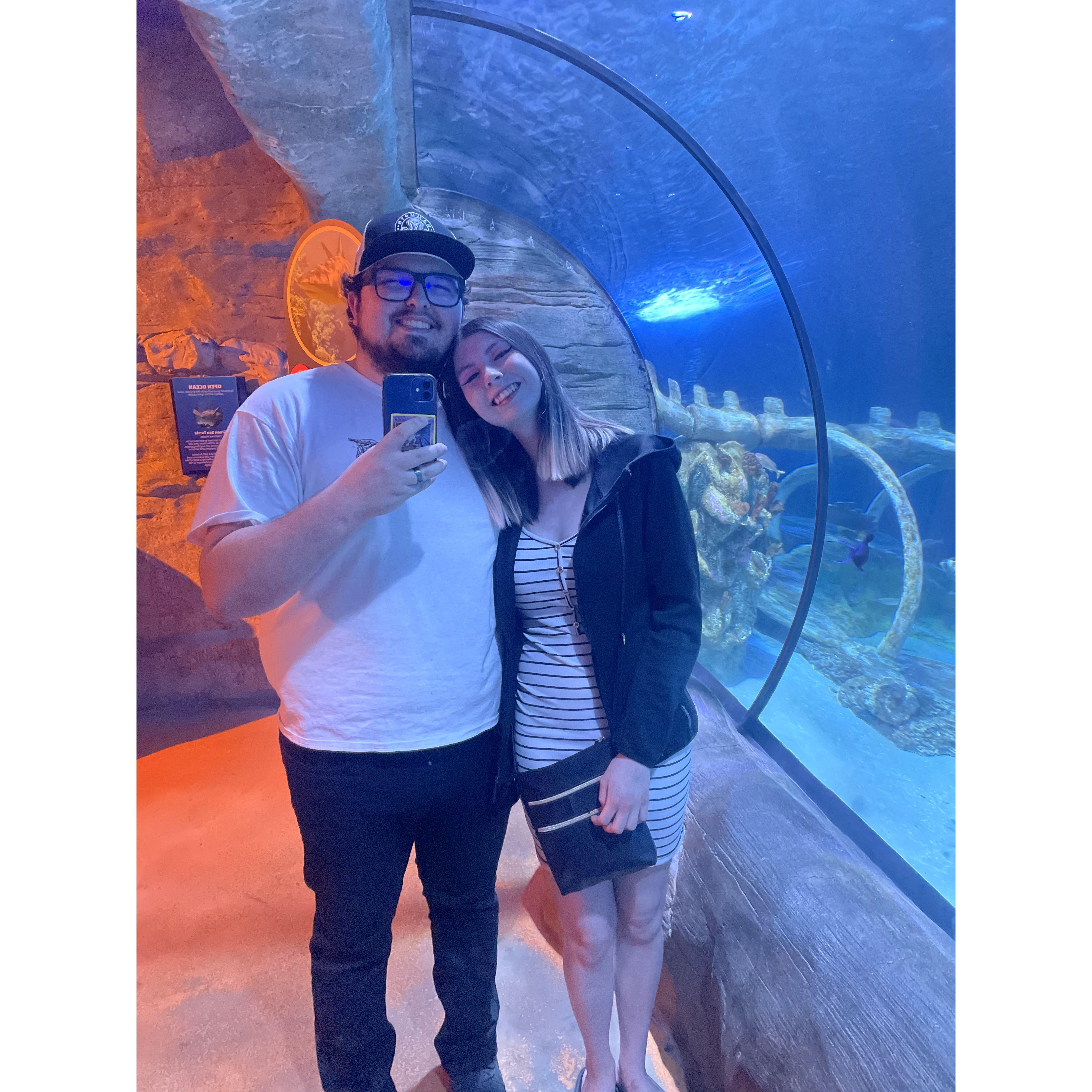 Us At The Aquarium