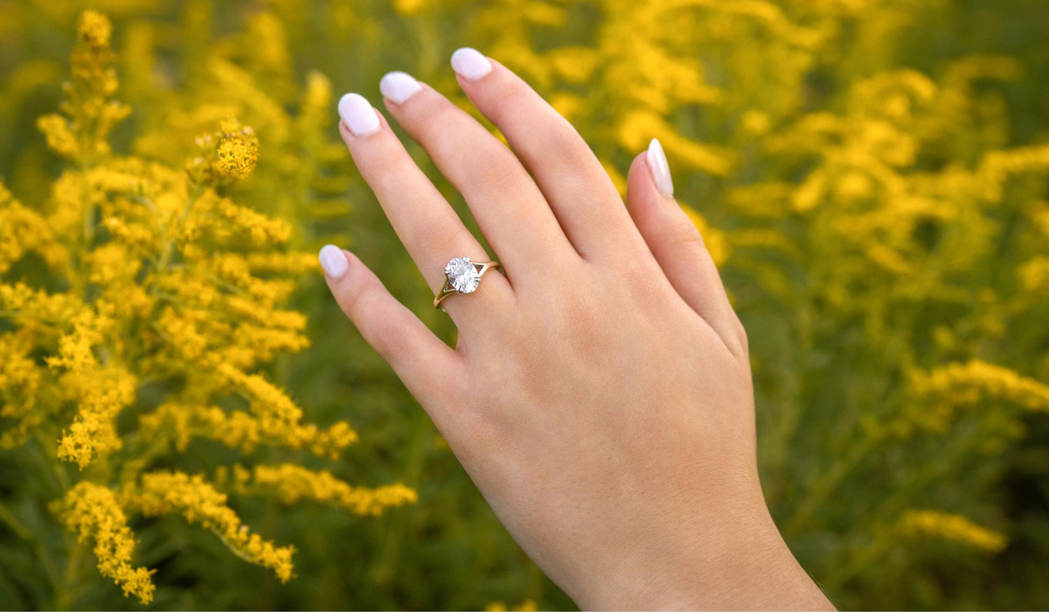The Wedding Website of Ella Fisher and Tyler Snevel