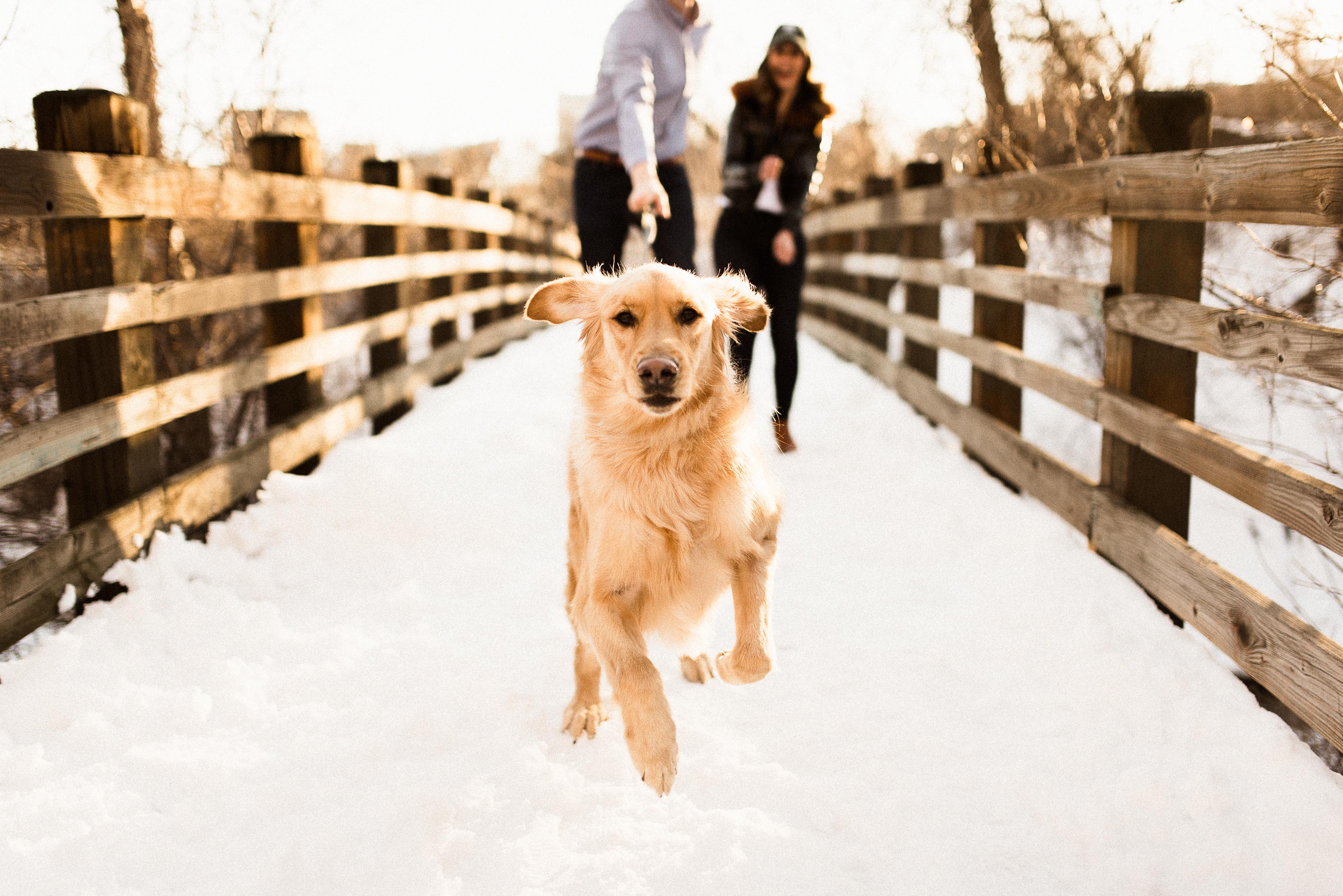 The Wedding Website of Jess Seymour and Bill Dillon