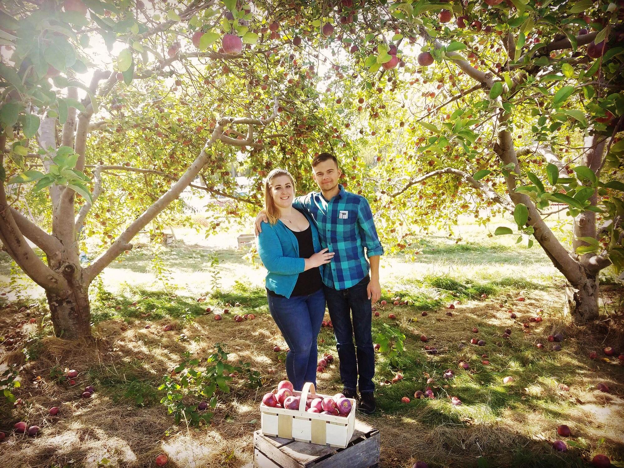 We love going apple picking