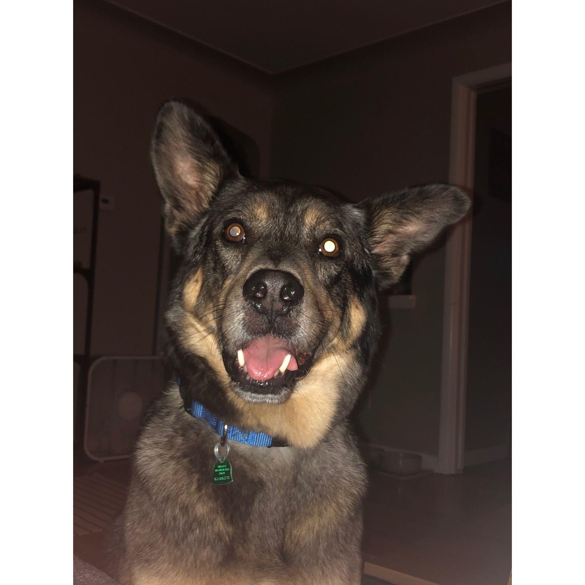 Our son, Charlie