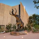 Denver Museum of Nature & Science