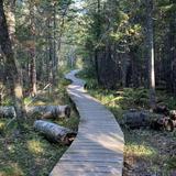 Shephard's Farm Hike
