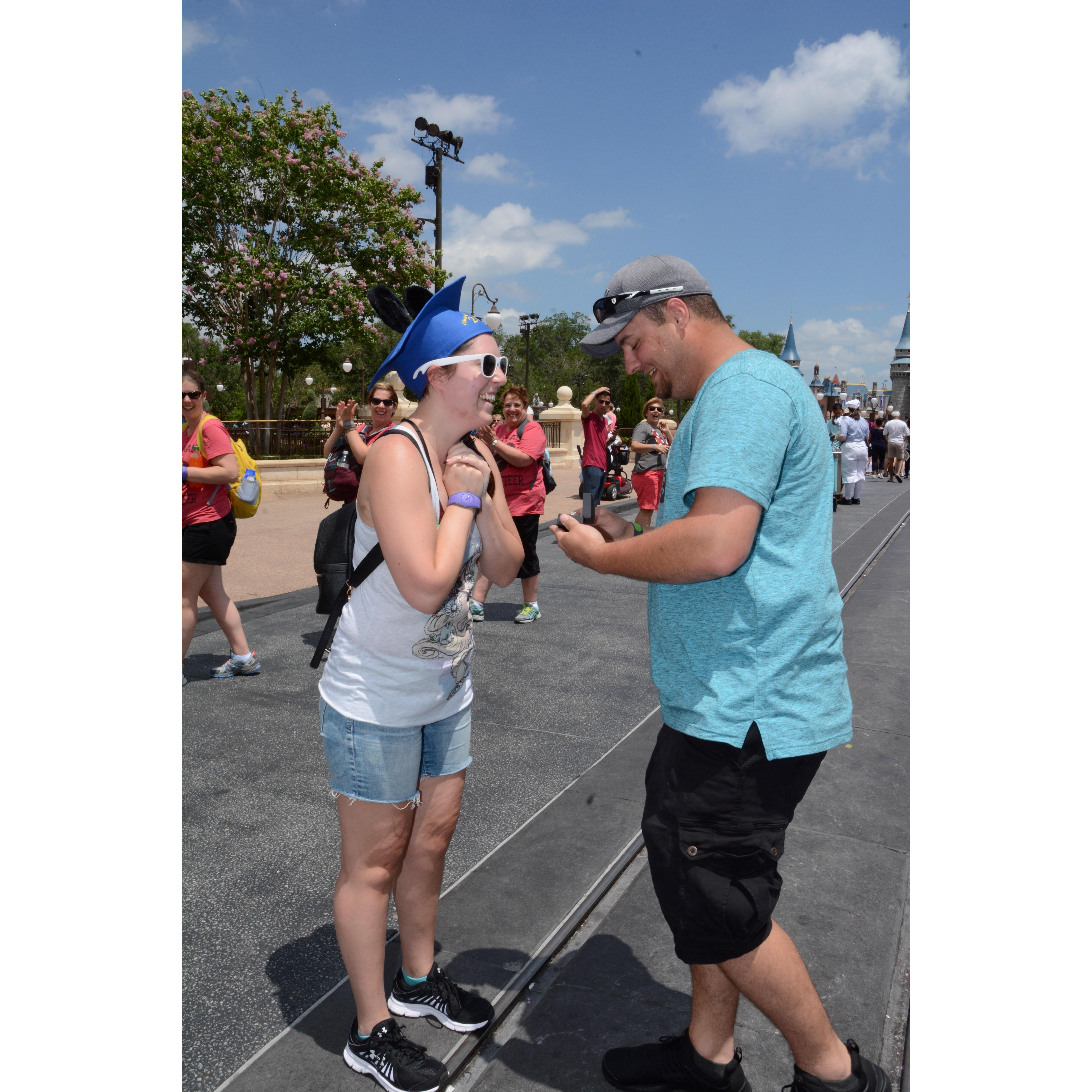 Recreating the proposal for professional pictures