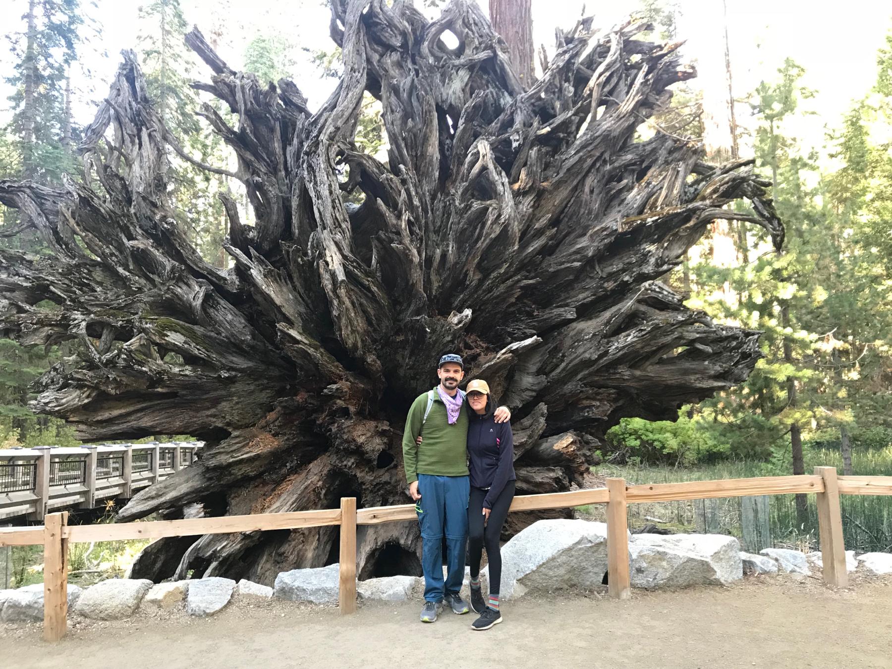 Yosemite trip with Held family