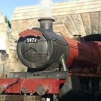 Harry Potter is not just an obsession, it's a way of life.