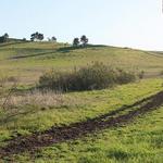 Wildwood Regional Park