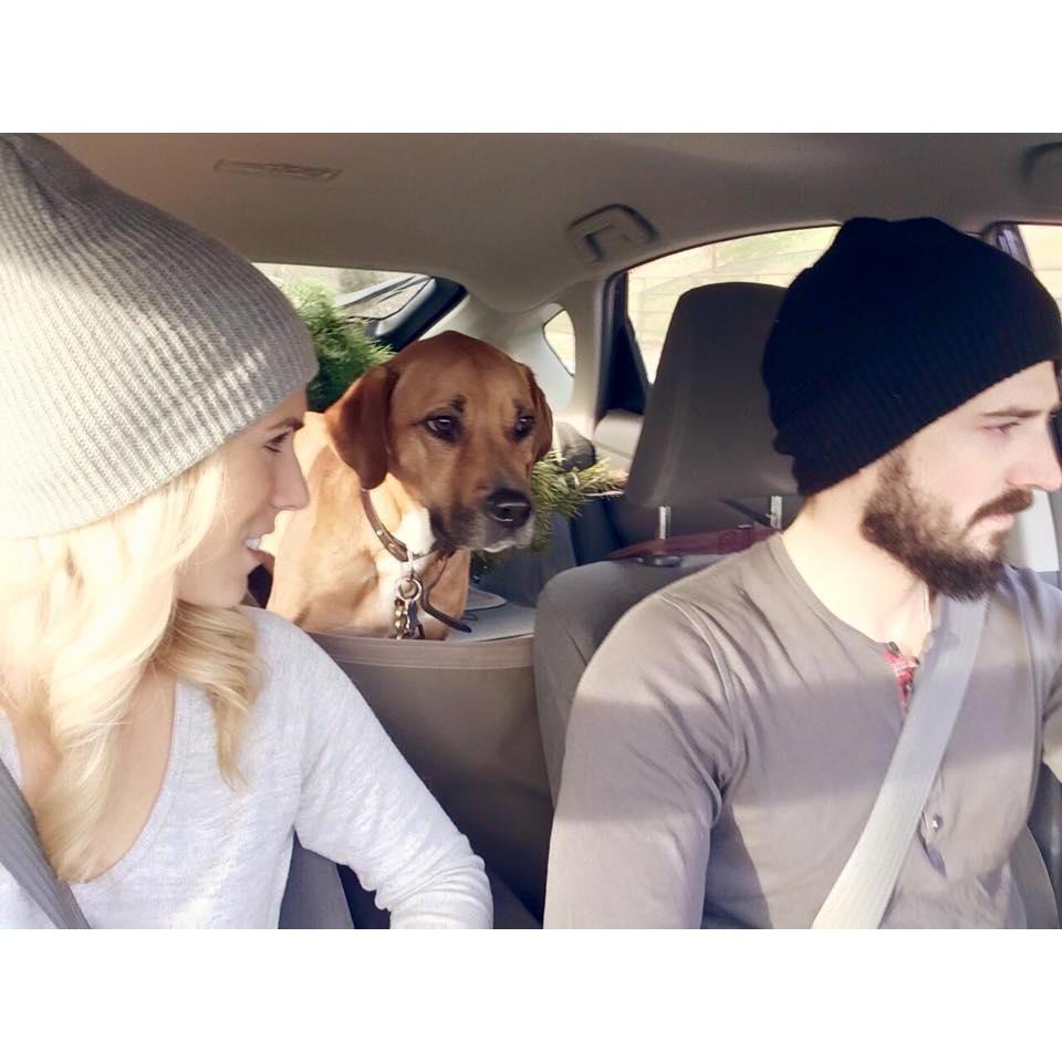 The first christmas tree we picked up together, Zoey in tow of course