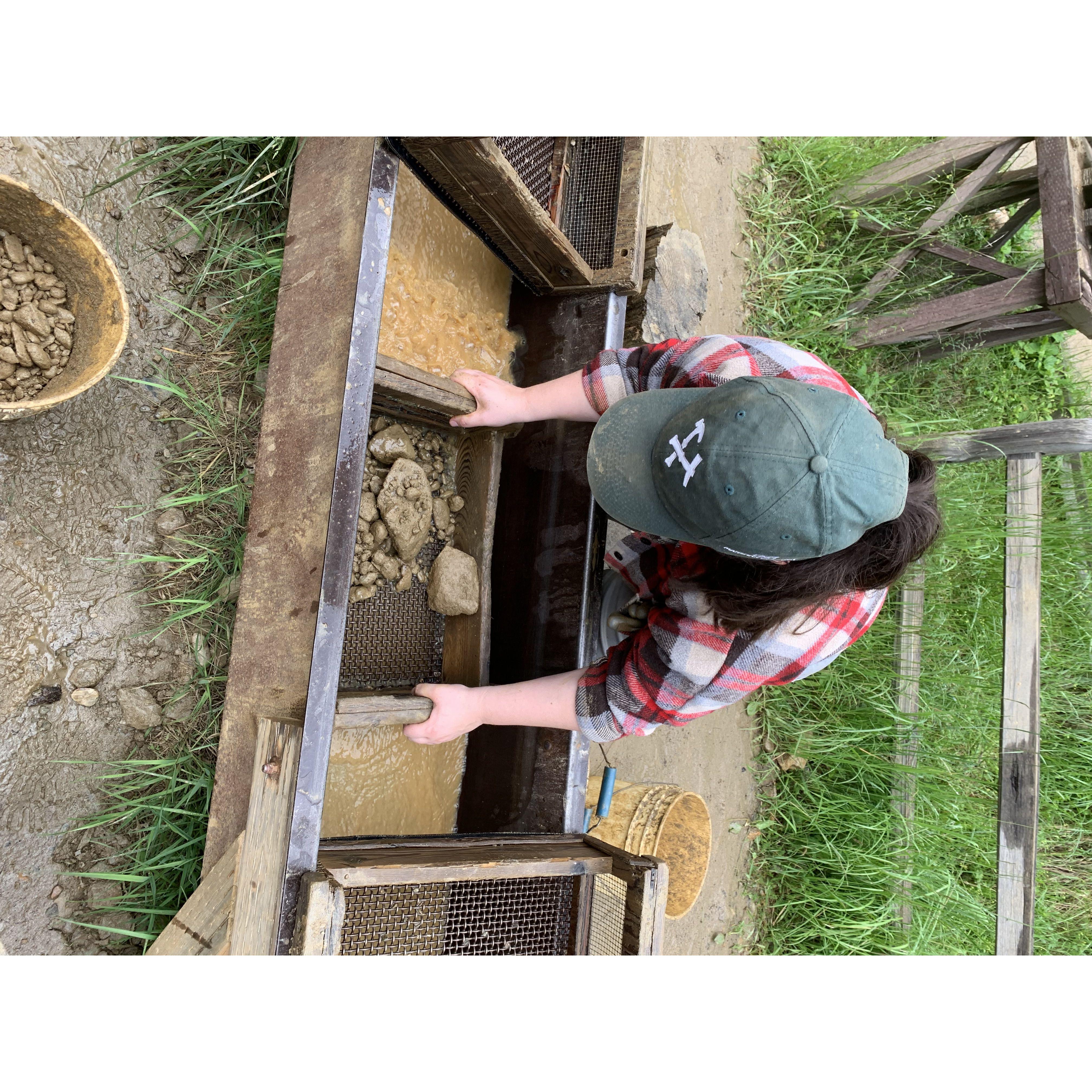 Sylvana digging for treasure at Emerald Creek in Idaho, June 2022