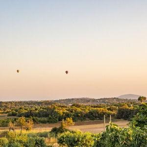 Hot Air Balloon Ride