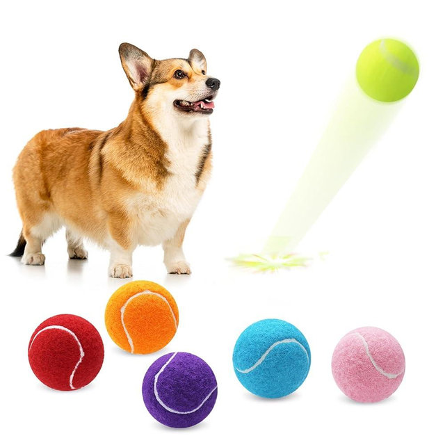 Magicorange 6 Pack Small Tennis Balls, 2 inch Tennis Balls for Dogs,Colorful Easy Catching Pet Playing Ball (Multicolor, 6 Pack)