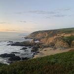 Bodega Head Trail