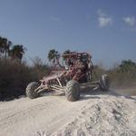 Jungle Buggy Tour