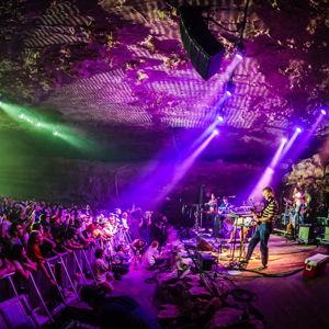 King Gizzard Concert Fund