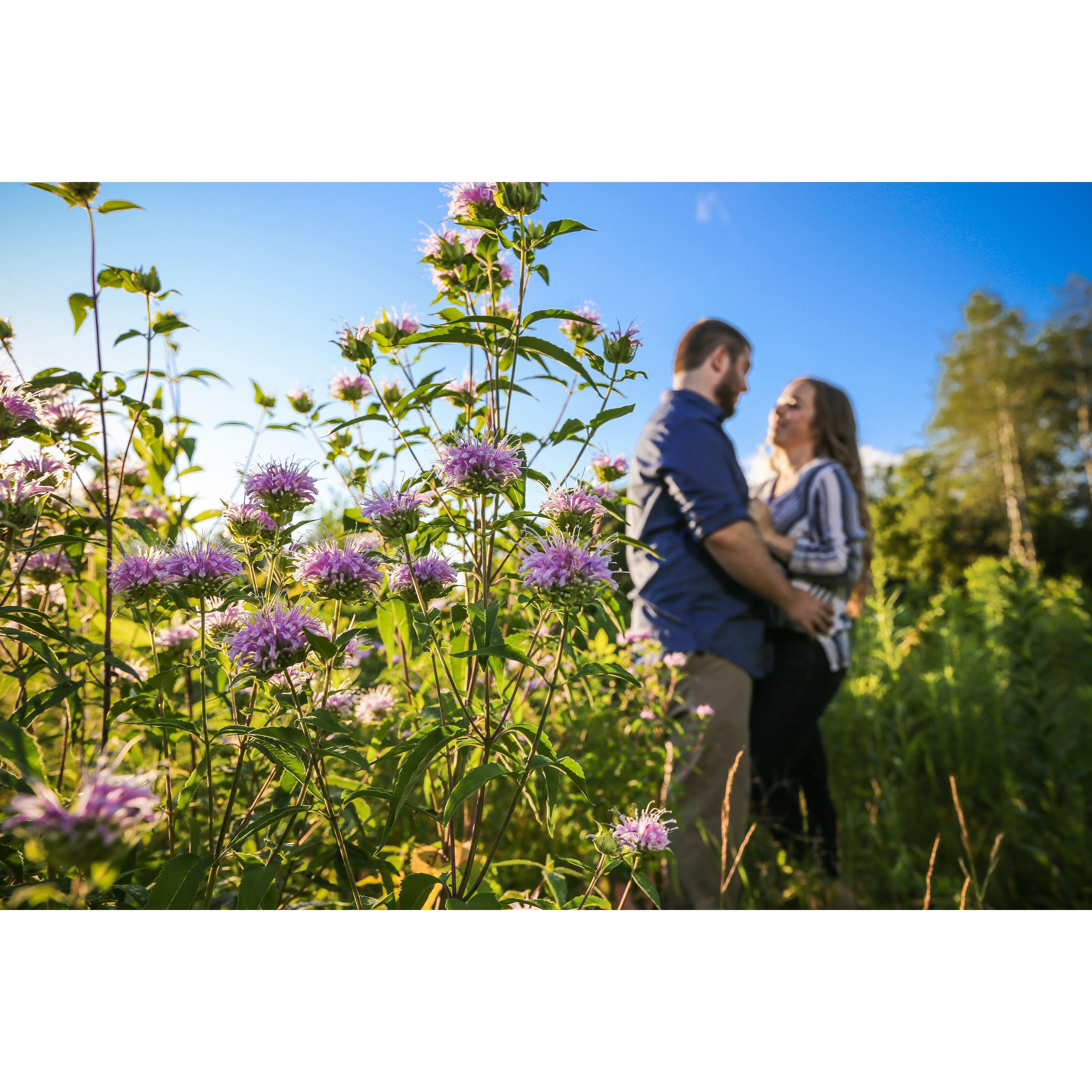 Engagement Pictures