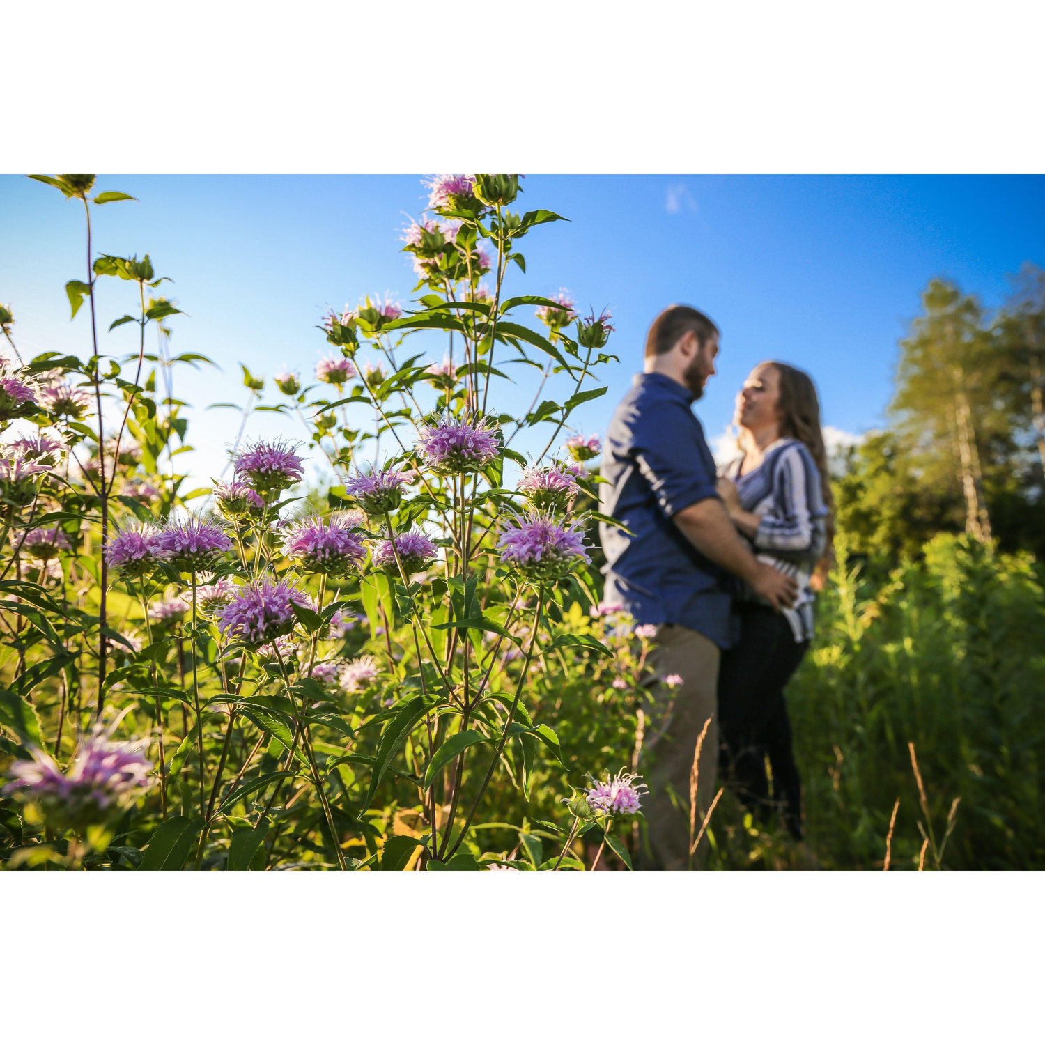 Engagement Pictures