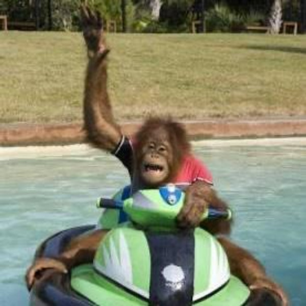 Jet Ski Rental For Two