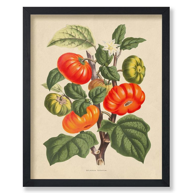 Poster Master Vintage Tomato Poster - Retro Botanical Print - Fruit Art - Minimal Art - Garden Art - Gift for Men & Women - Aesthetic Decor for Office, Living Room or Kitchen - 8x10 UNFRAMED Wall Art