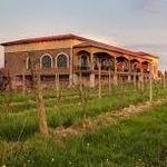 Ventosa Vineyards