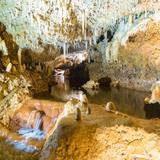 Harrison's Cave Eco-Adventure Park