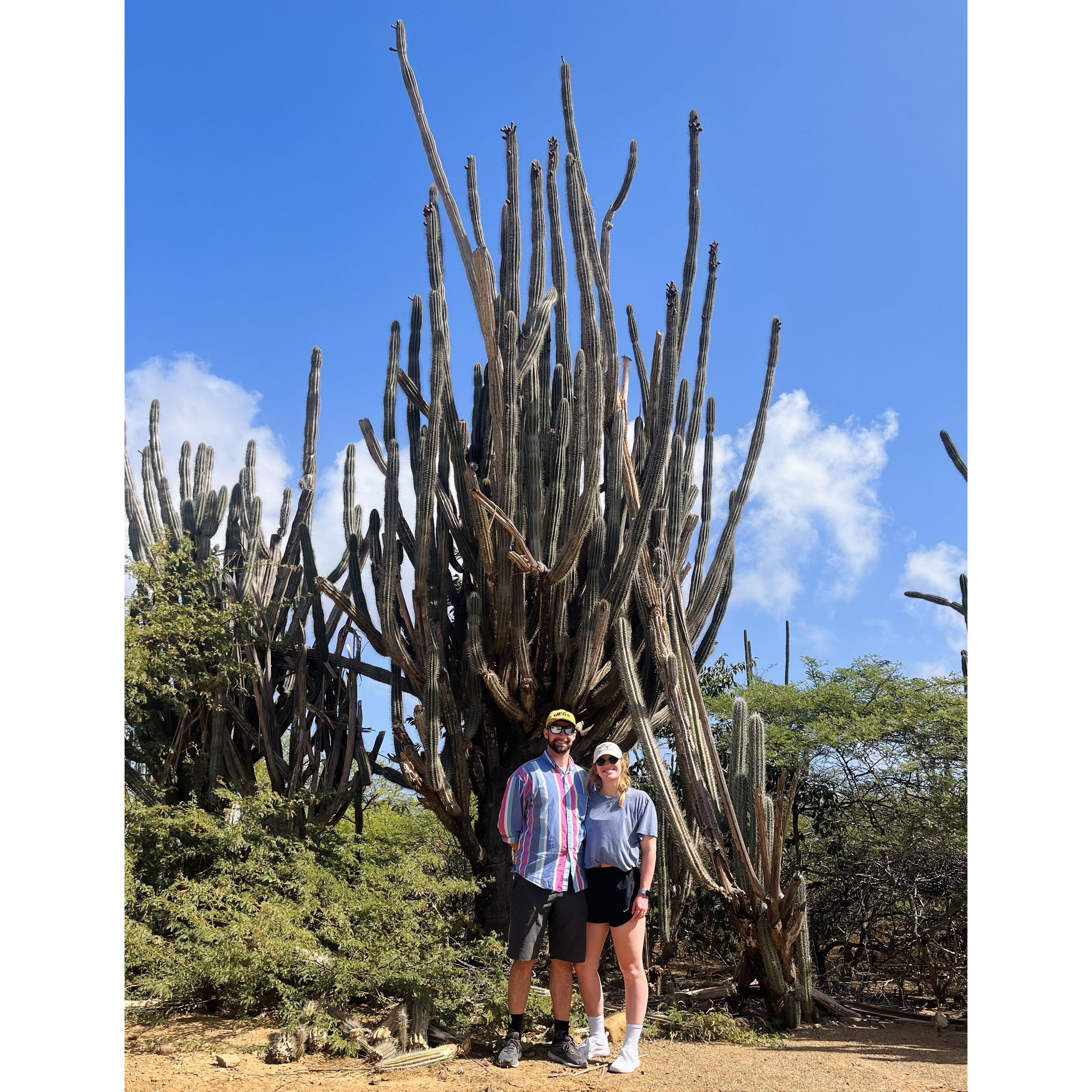 Vacation to Bonaire!