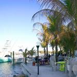 Square Grouper Tiki Bar Jupiter Inlet