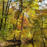 Ridley Creek State Park