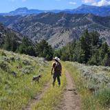Hiking Trails