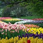 Longwood Gardens