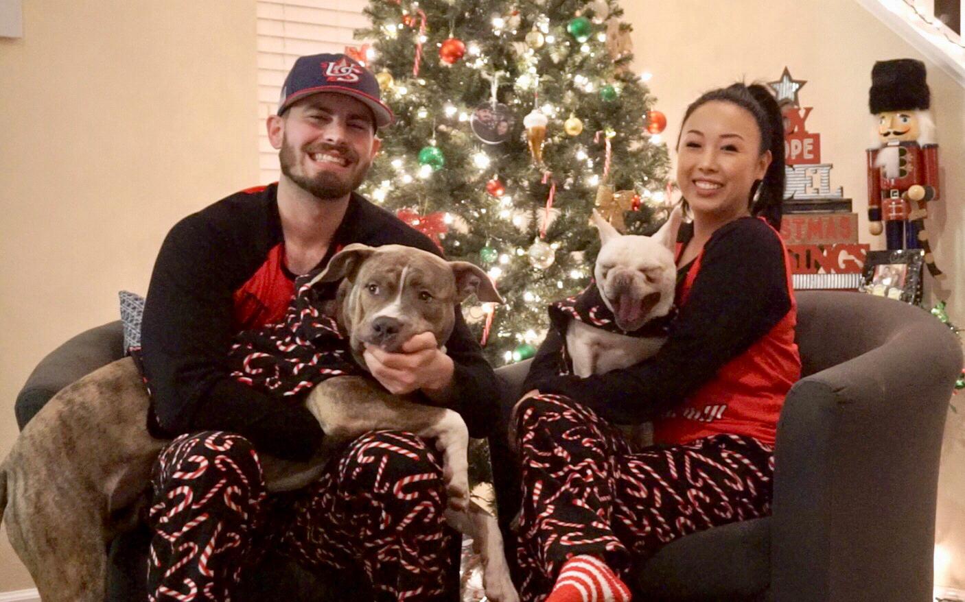 Attempting to take Christmas photos with our pups.
