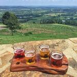 Dirt Farm Brewing