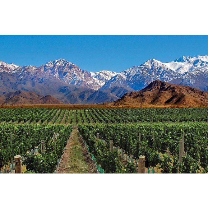 Mendoza