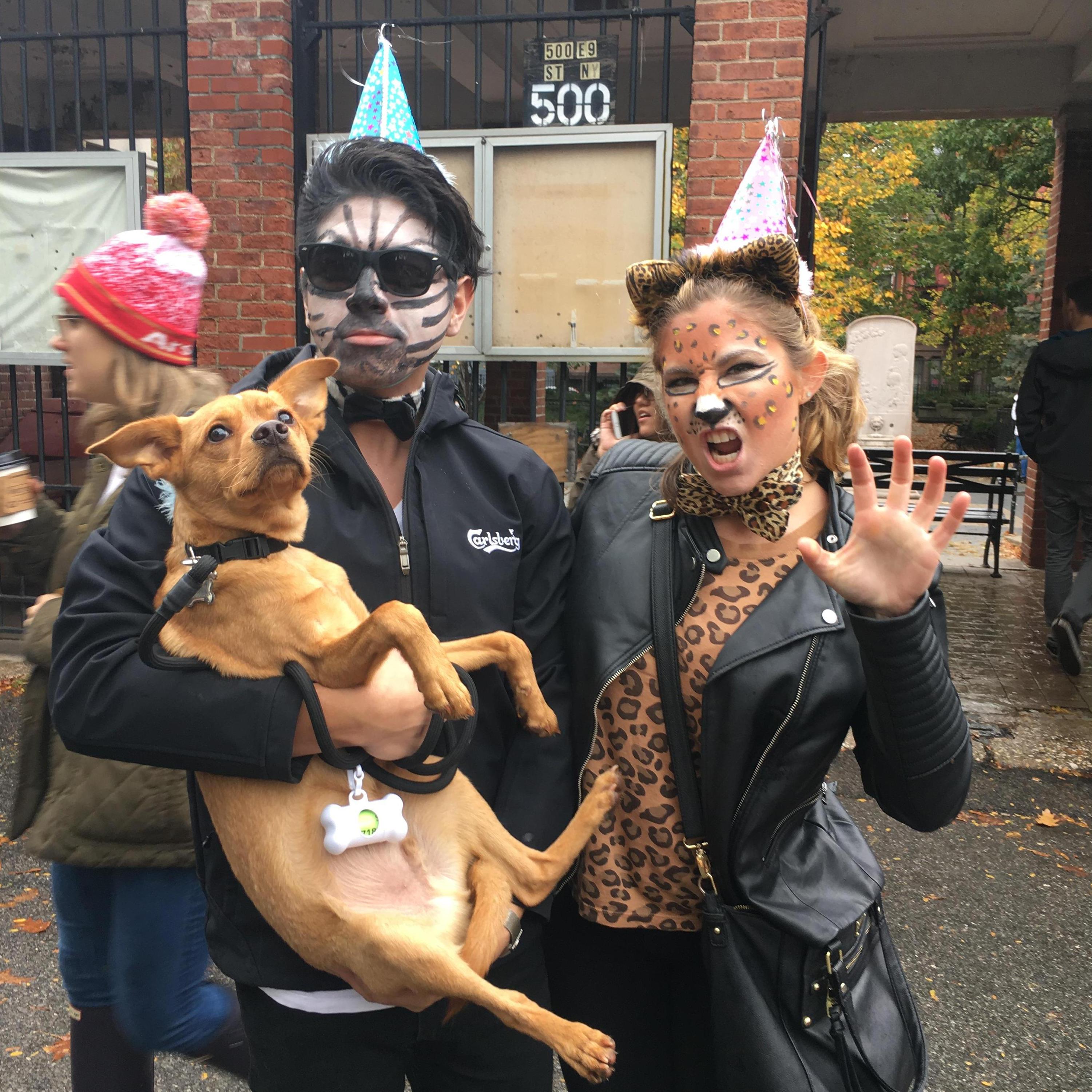Thompson Square Park Halloween Dog Parade - NY, NY