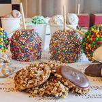 Savannah's Candy Kitchen