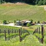Paso Robles Wineries: Booker Vineyard