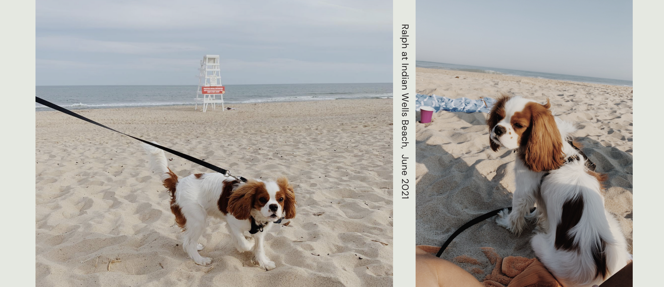 The Wedding Website of Meg Hemmerle and Alec Bruce