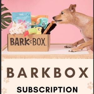 1 Year BARK BOX Subscription