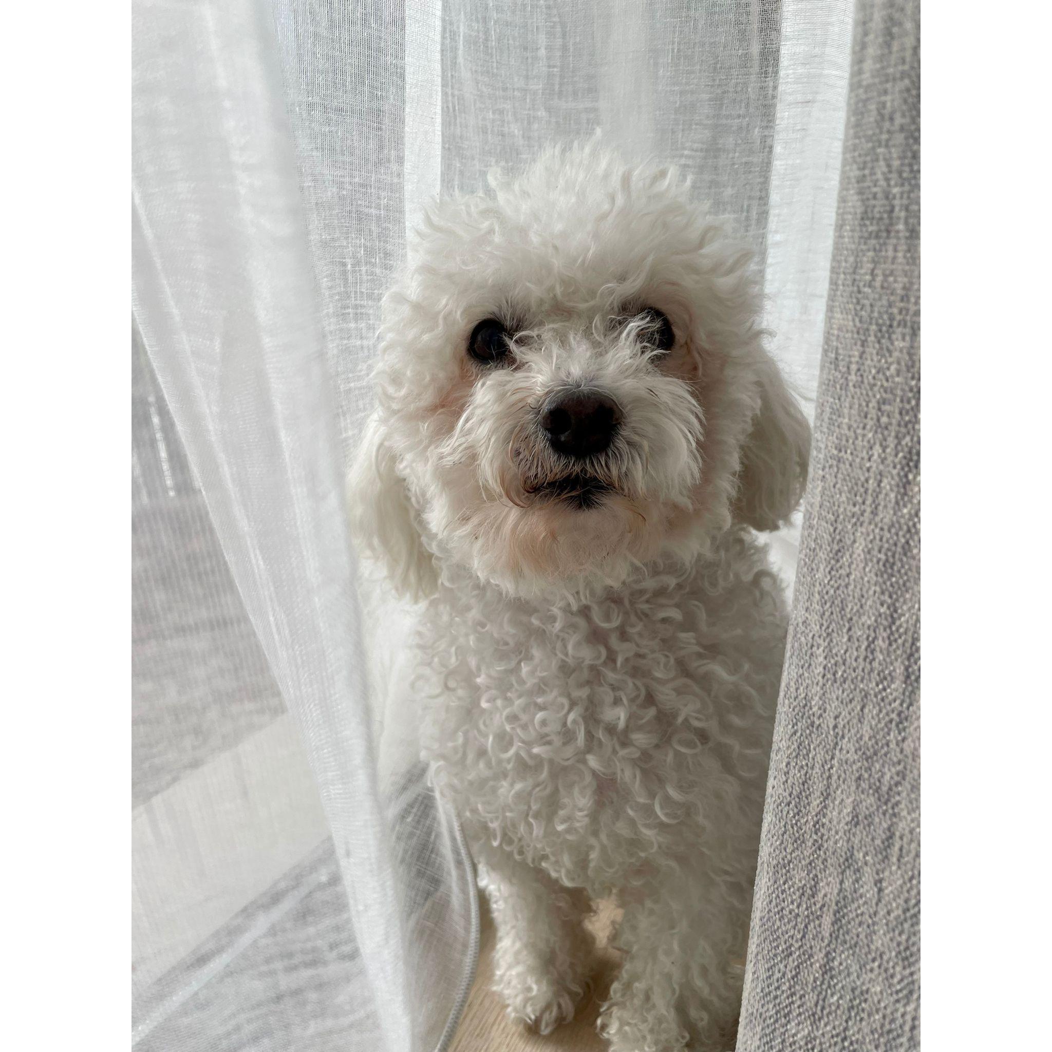 Little bundle of joy - our Jamal