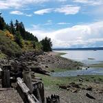 Sequalitchew Creek Trail Head