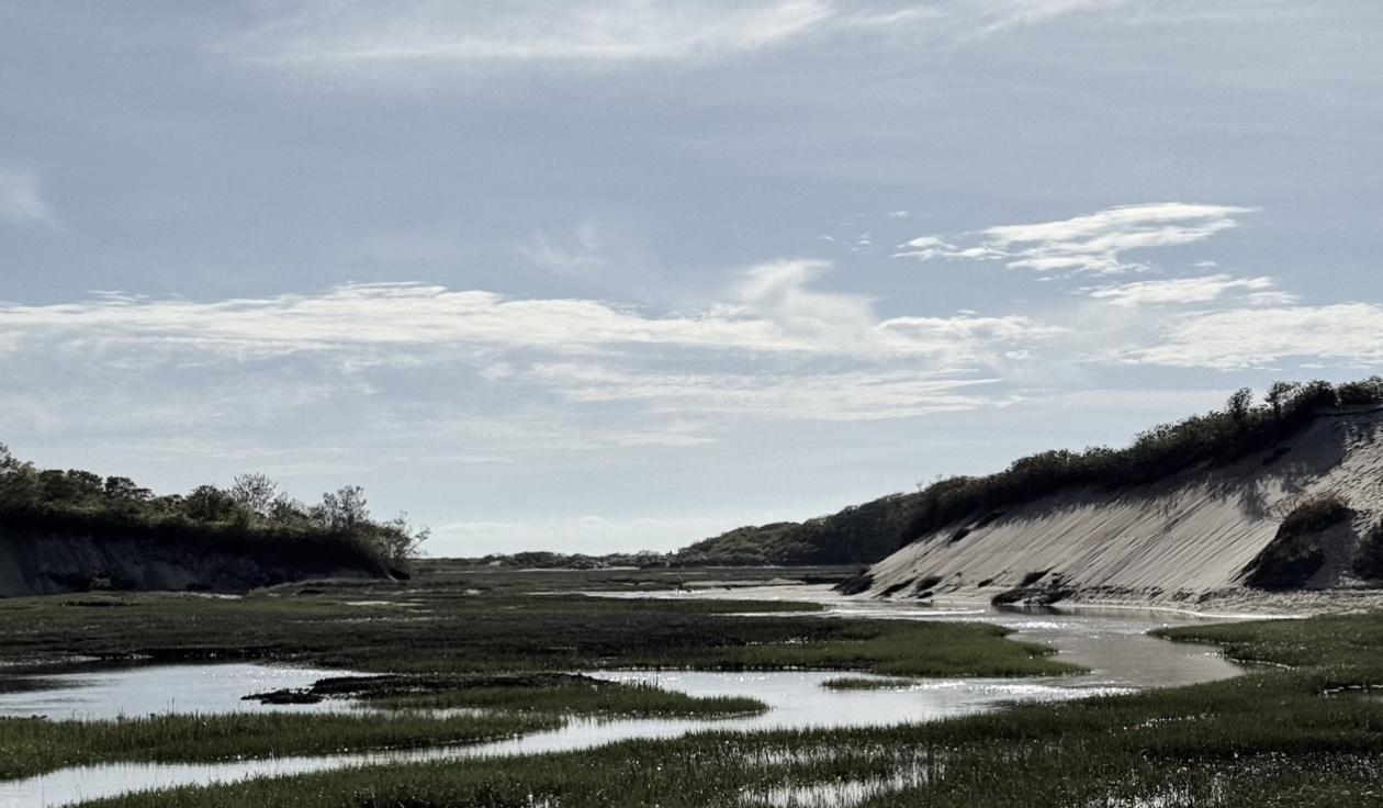 The Wedding Website of Baer Larsen and John Marcinak