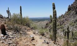 Hiking Trails