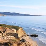 Torrey Pines State Reserve