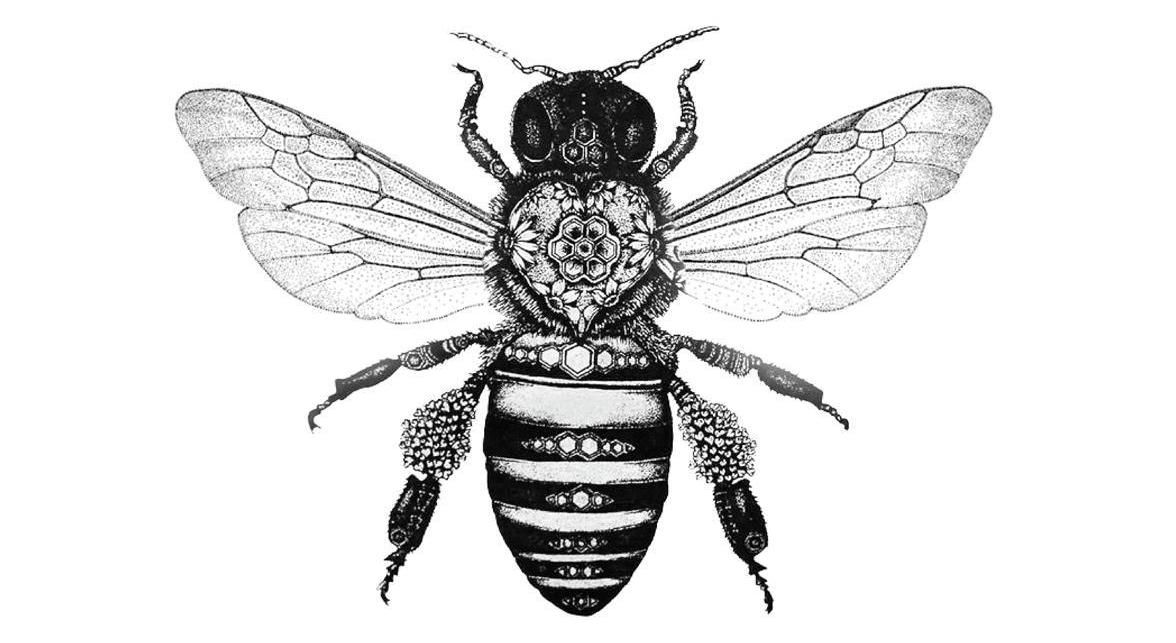 Footer image