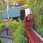 Shadowbrook Restaurant