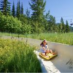 Shopping & Activities in Whitefish
