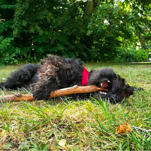Cleo living her best life