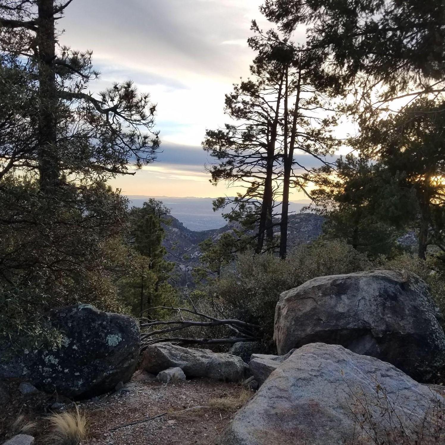 The view from the point where we got engaged on Mt. Lemmon near Tucson, as the sun began to set