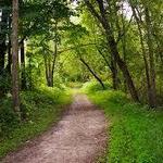 Clifton E. French Regional Park